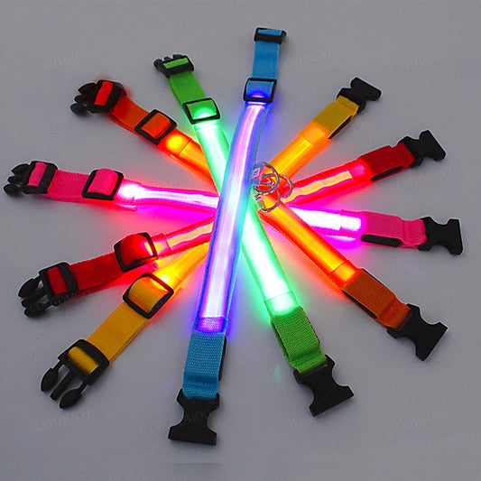 Uppladdningsbart LED-halsband för hundar