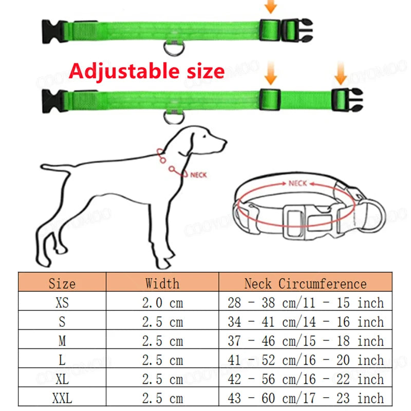 Uppladdningsbart LED-halsband för hundar
