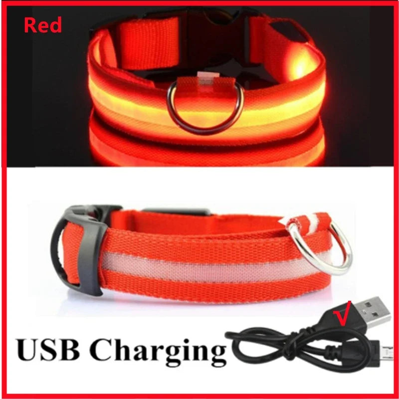 Uppladdningsbart LED-halsband för hundar