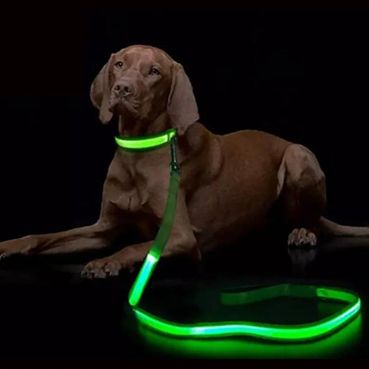 Leashes & Collars