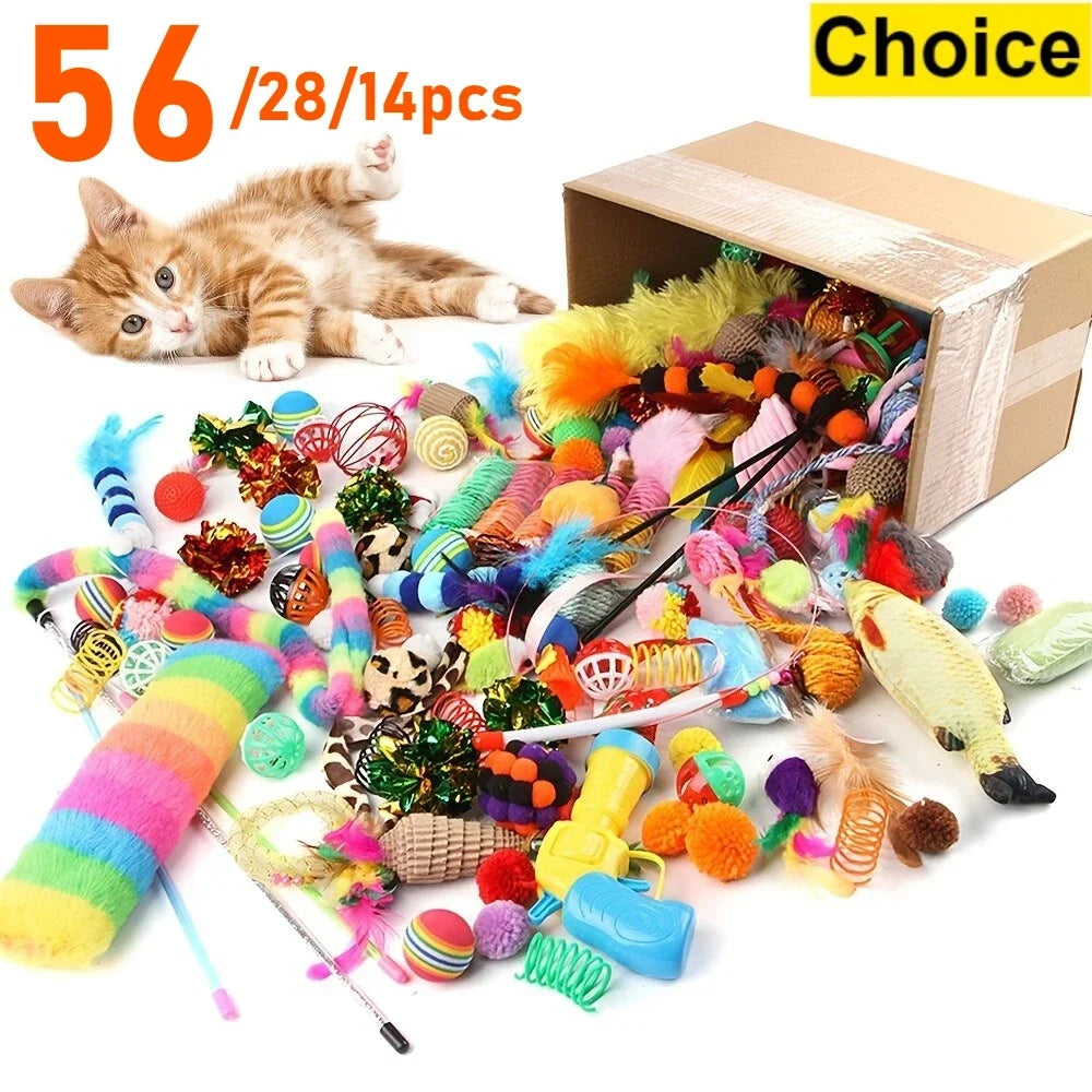 Cat's Play Box