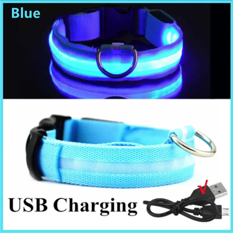 Uppladdningsbart LED-halsband för hundar