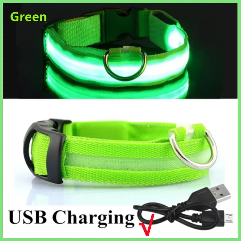 Uppladdningsbart LED-halsband för hundar