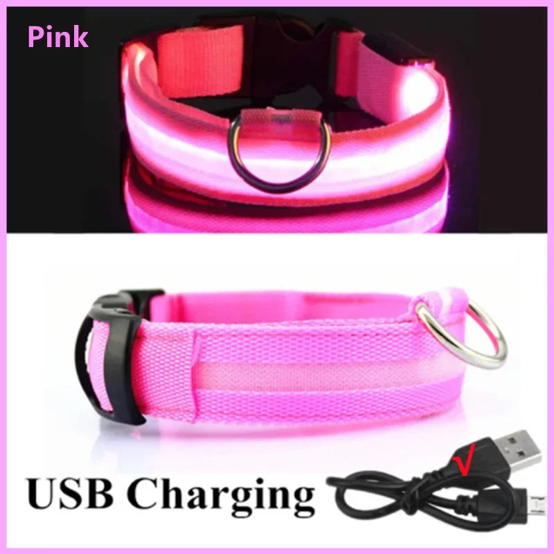 Uppladdningsbart LED-halsband för hundar