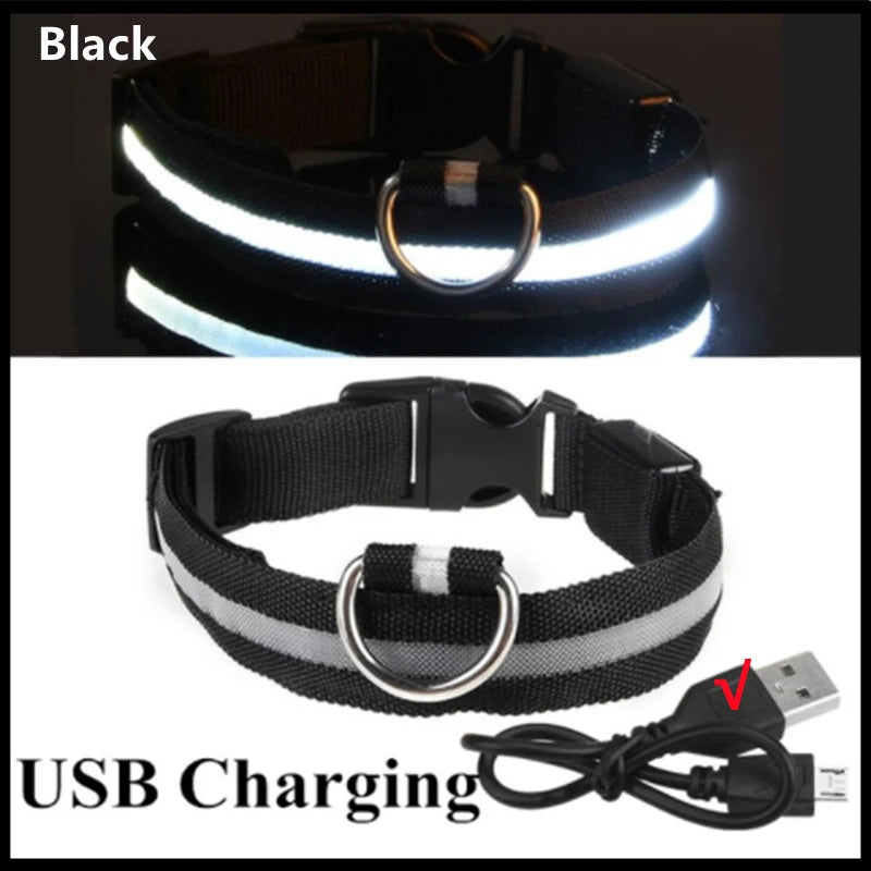 Uppladdningsbart LED-halsband för hundar