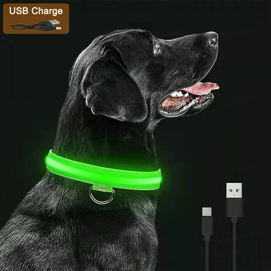 Uppladdningsbart LED-halsband för hundar