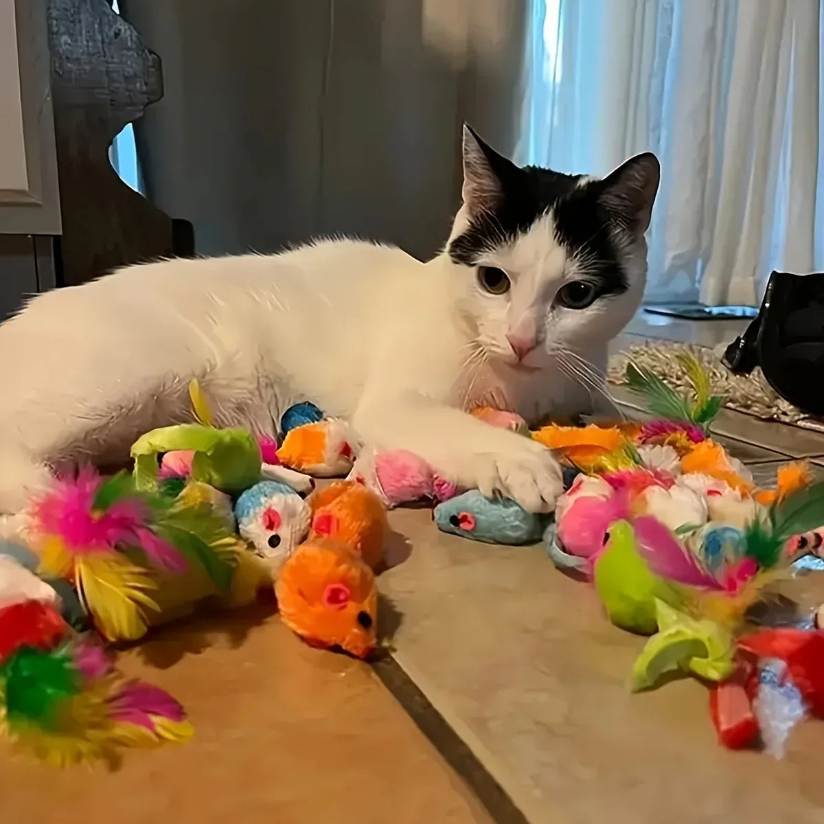 Cat's Play Box